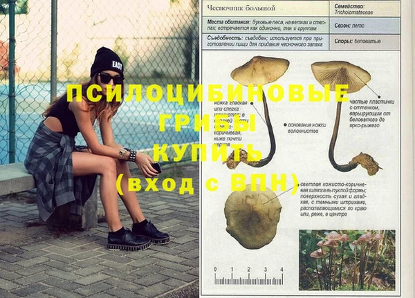 кокаин колумбия Алзамай