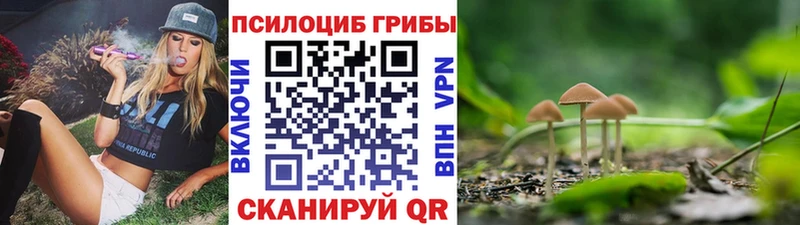 omg вход  Елец  Галлюциногенные грибы Psilocybe 