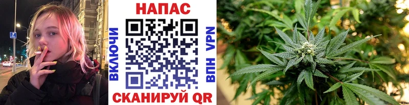 Конопля OG Kush  где найти   Елец 